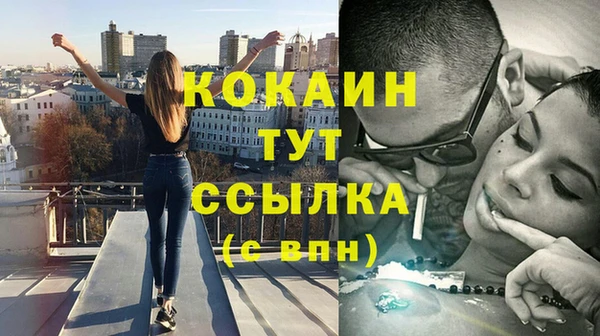 тгк Алзамай