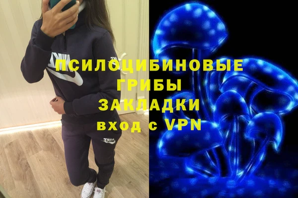 тгк Алзамай