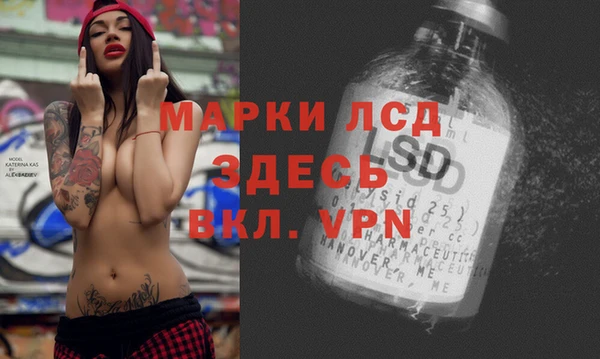 тгк Алзамай