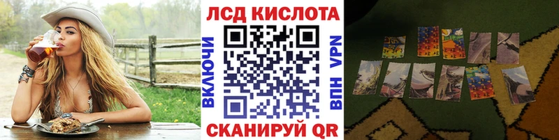 дарнет шоп  Бабаево  Марки N-bome 1500мкг 
