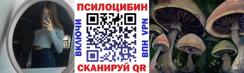 Псилоцибиновые грибы Magic Shrooms  Бабаево 